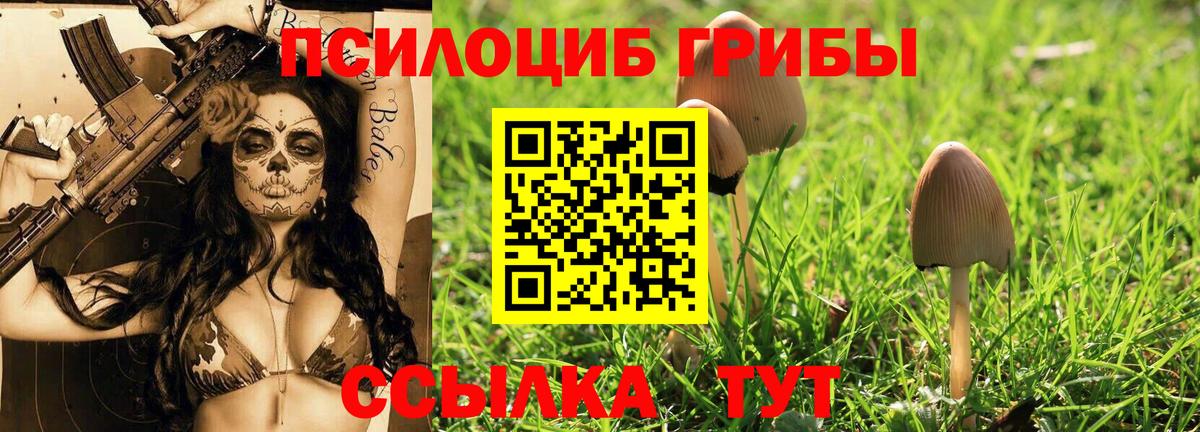 Псилоцибиновые грибы Psilocybine cubensis  Вход с VPN  Рославль 