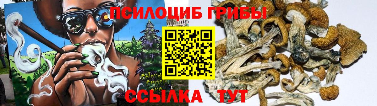 Галлюциногенные грибы GOLDEN TEACHER Рославль